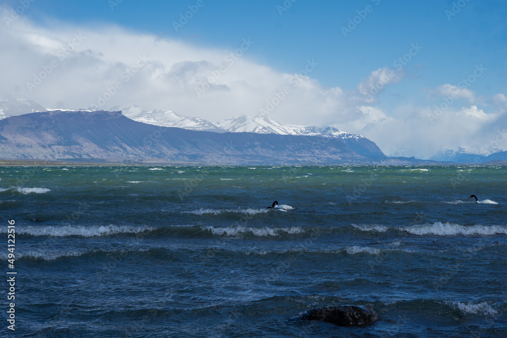 Landscapes from Puerto Natales, Patagonia