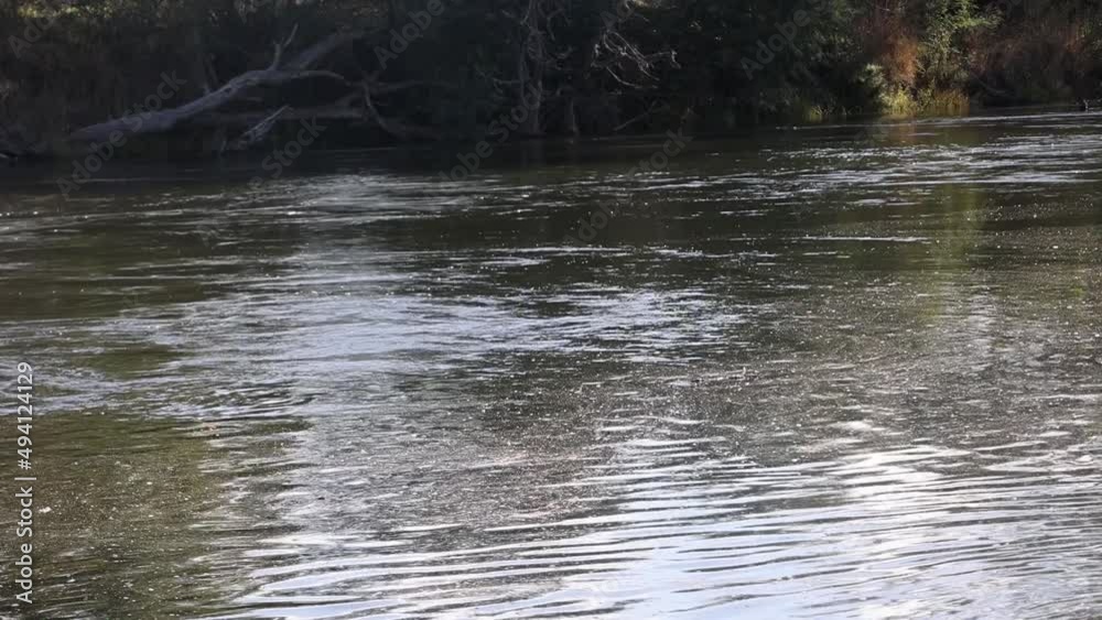 Close up shot of the Goulburn river water flowing at a high speed. Close up shot of the Goulburn river water flowing at a high speed.