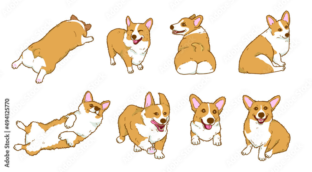 Cartoon corgi dog illustration collection