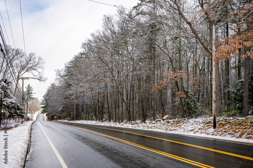 Fototapeta premium Winter highway stretching into the horizon and wet from melted snow framed by a forest of bare deciduous trees powdered with snow