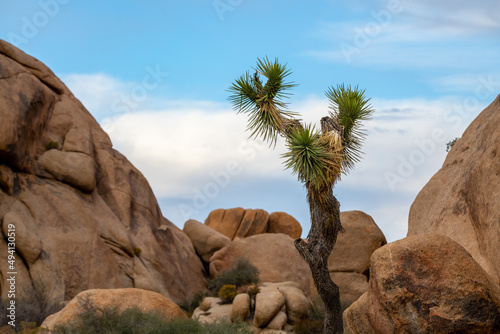 Large rock boulders seen in Joshua Tree Park with the desert landscape 