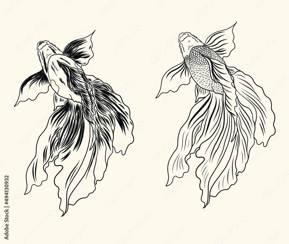 Beautiful line art of gold fish vector illustration.Koi fish for printing on shirt on white isolated background. Beautiful line art of gold fish vector illustration.Koi fish for printing on shirt on white isolated background.