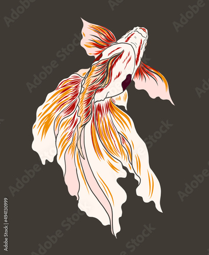 Beautiful line art of gold fish vector illustration.Koi fish for printing on shirt on white isolated background.