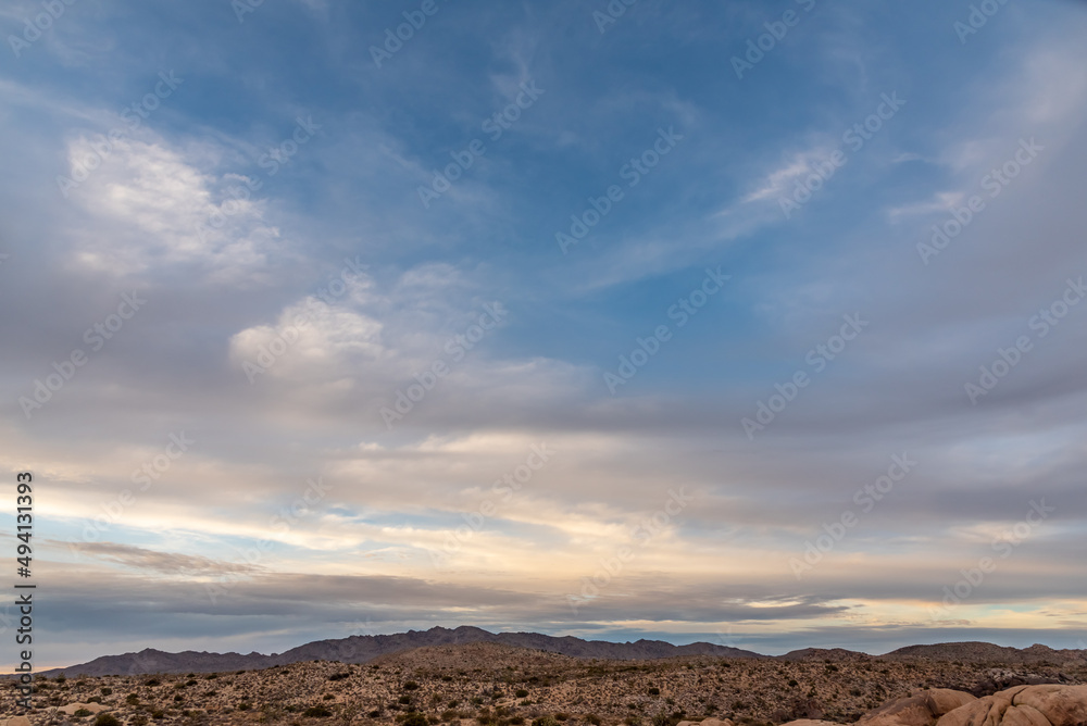 Desert landscape in Joshua Tree National Park at sunset Desert landscape in Joshua Tree National Park at sunset