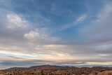 Desert landscape in Joshua Tree National Park at sunset