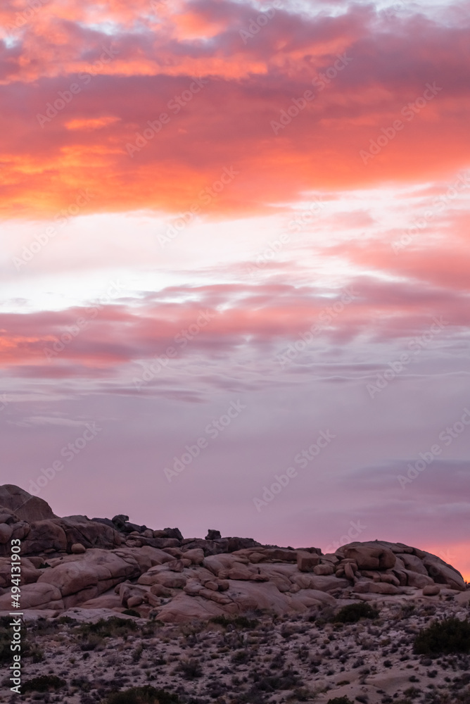 Panoramic scenic view in Joshua Tree National Park at sunset with bright pink, orange tones in dramatic sky. 