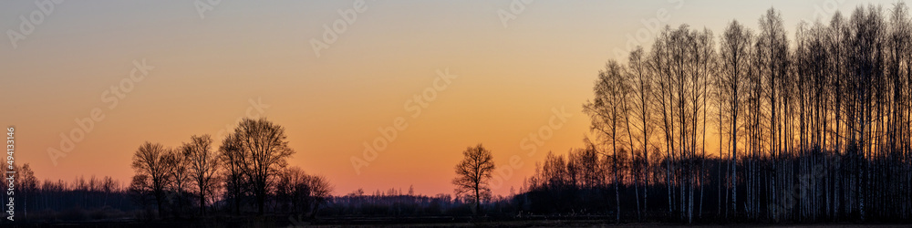 Silhouette of a tree in orange peaceful sunset. Backlit tree at sunset panorama
Silhouette of a tree in orange peaceful sunset. Backlit tree at sunset panorama
