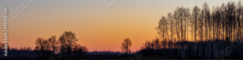Silhouette of a tree in orange peaceful sunset. Backlit tree at sunset panorama 