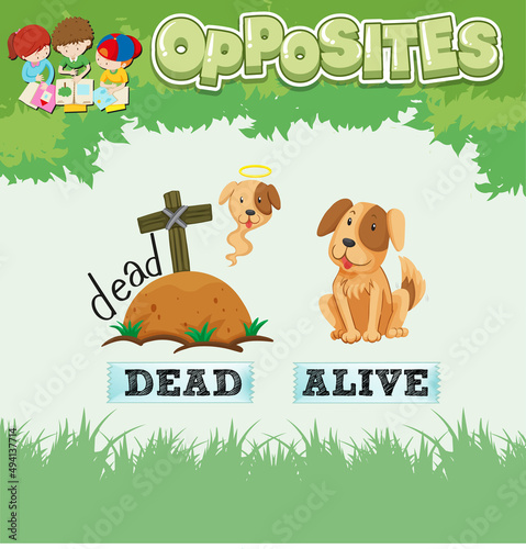 Opposite words for dead and alive