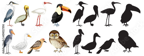 Set of bird cartoon character