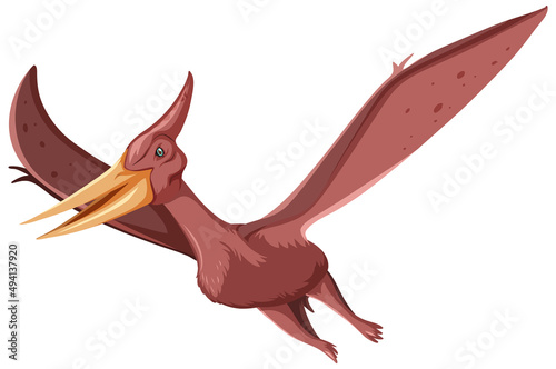 A dinosaur pteranodon on white background