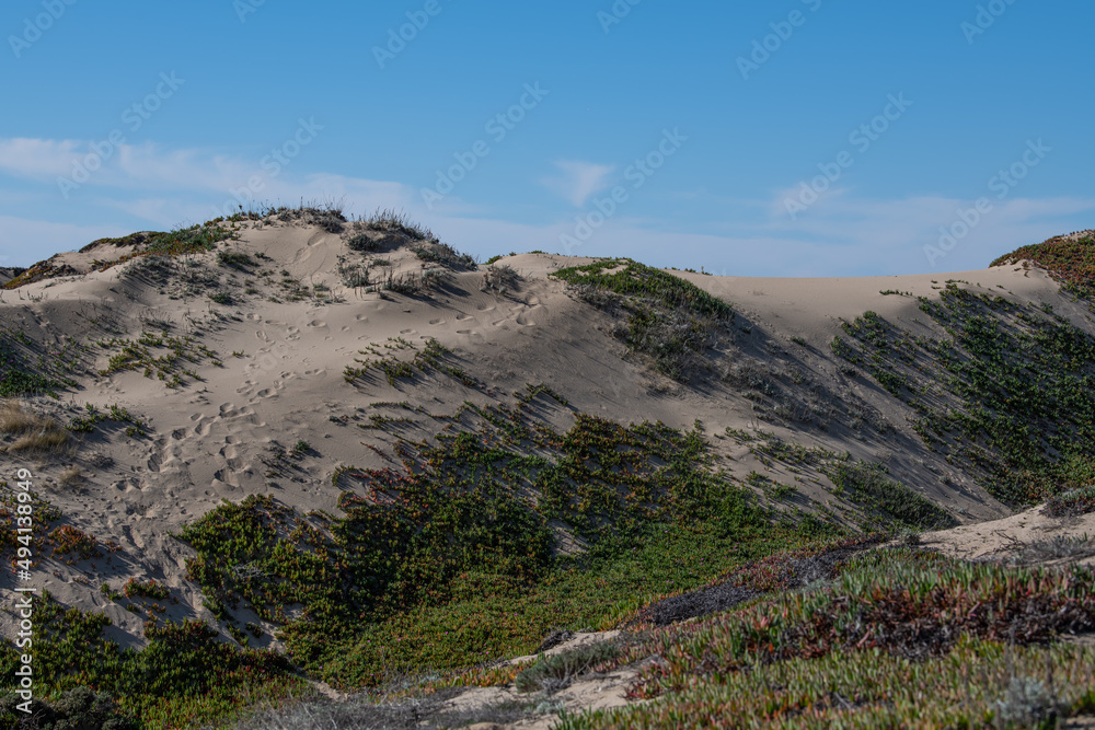Sand Dunes in Marina, California