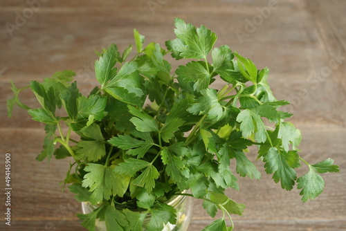 a bunch of parsley, some leaves turn yellow