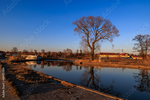 Fototapeta Naklejka Na Ścianę i Meble -  landscape with a channel and a tree in Giżycko