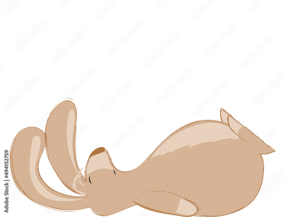 Hase Hase