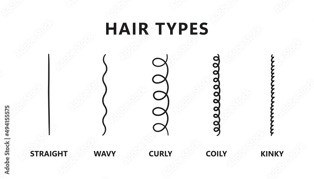 Classification of hair types - straight, wavy, curly, coily, kinky. Scheme of different types of hair. Curly girl method. Vector illustration on white background.