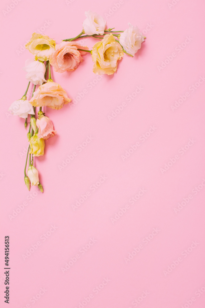 spring beautiful flowers on pink background