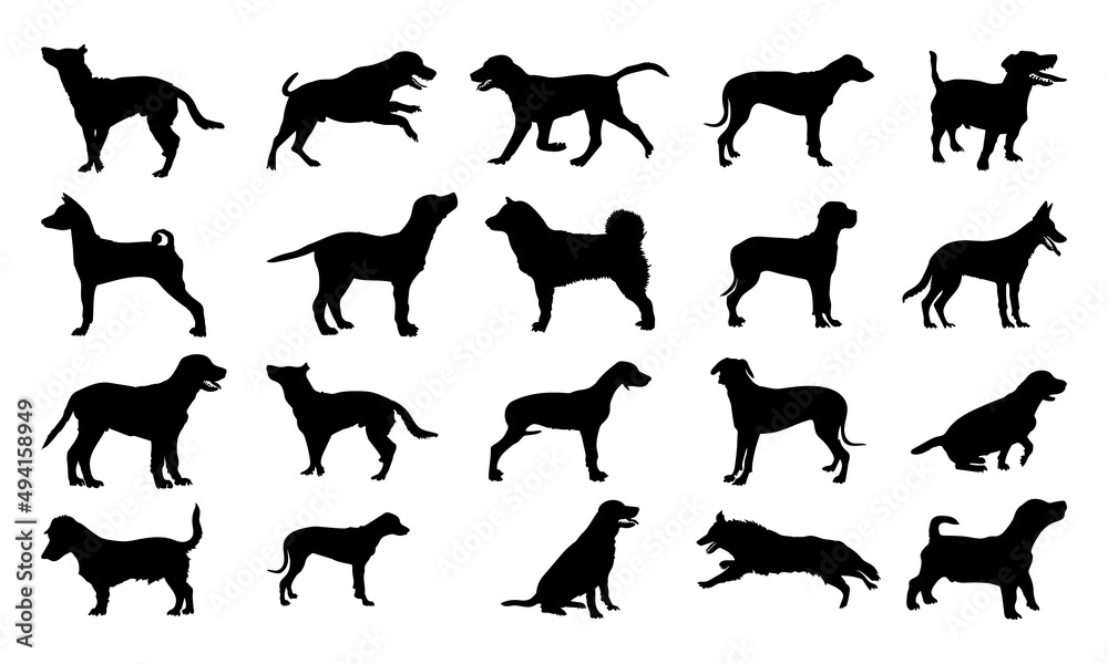 Collection of vector silhouette different breeds of dogs on white background.
