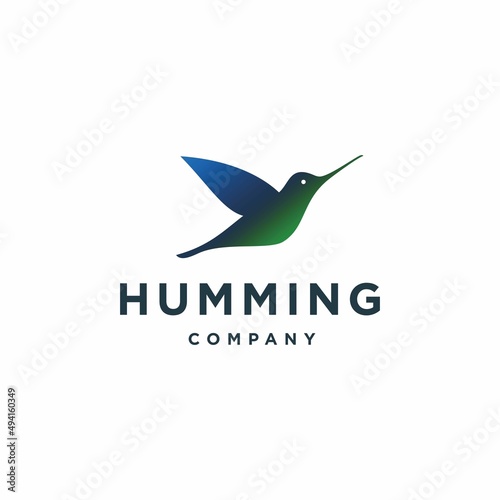 blue and green hummingbird logo. colibri bird logo icon design in realistic colorful Illustration