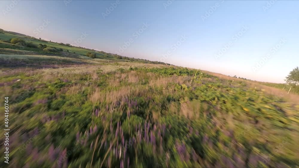 Flying on a drone, flying over a blooming summer field at sunset in the sunlight.Flying with birds. Flight at sunset. A sunny summer day. Aerial photography . FPV flights. High-speed flights. Flying on a drone, flying over a blooming summer field at sunset in the sunlight.Flying with birds. Flight at sunset. A sunny summer day. Aerial photography . FPV flights. High-speed flights.