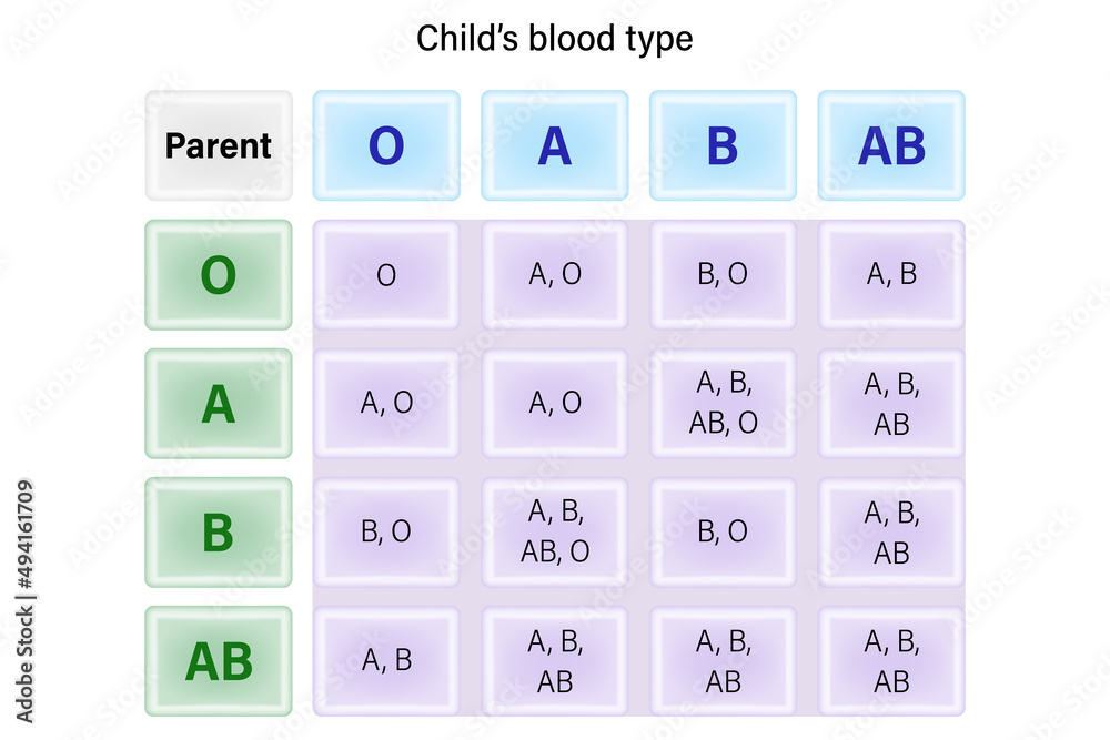 Child s Blood Type Table Baby Blood Type For Medical And Educational Use Stock Vector Adobe