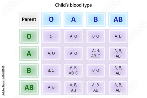 Child's blood type table. Baby blood type for medical and educational use.