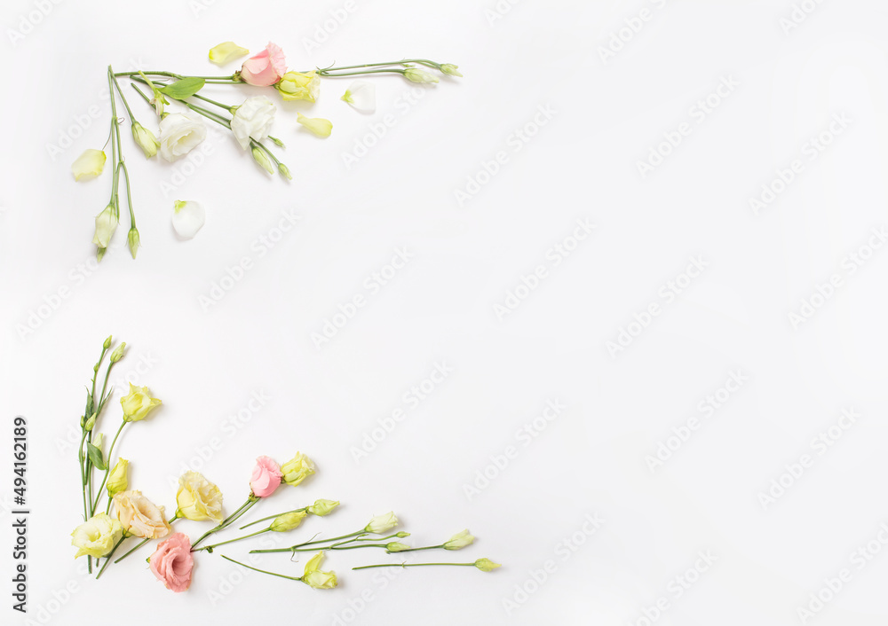 spring beautiful flowers on white background spring beautiful flowers on white background