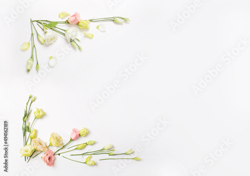 spring beautiful flowers on white background