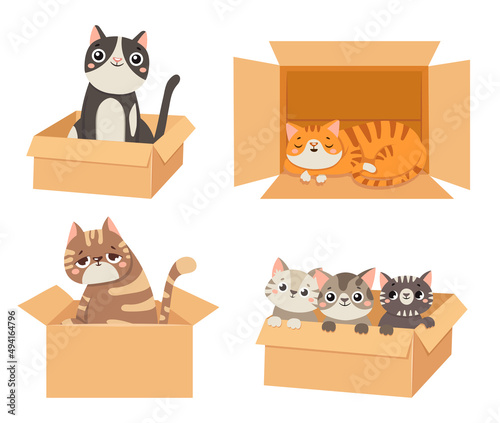 Cats in boxes. Animals sitting and sleeping in cardboard boxes. Little kittens looking out. Fluffy cute pet characters