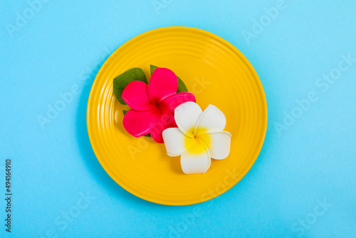 黄色いお皿に鮮やかな花