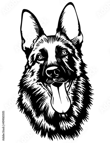 Dachshund dog. Vector Illustration