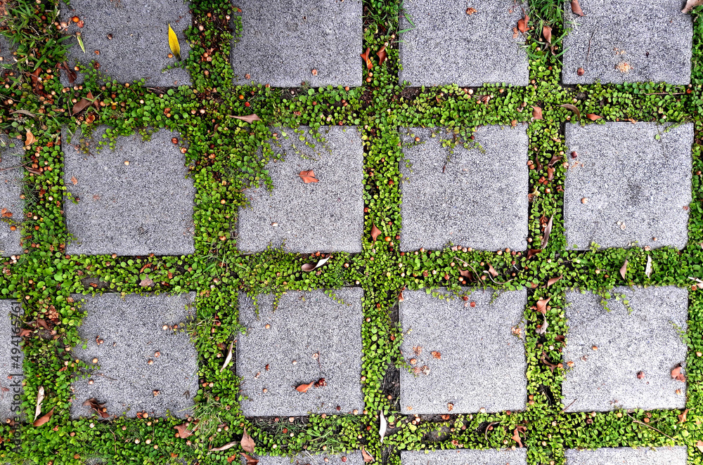 Grass and cement pavement. Eco parking texture background. Stock Photo ...