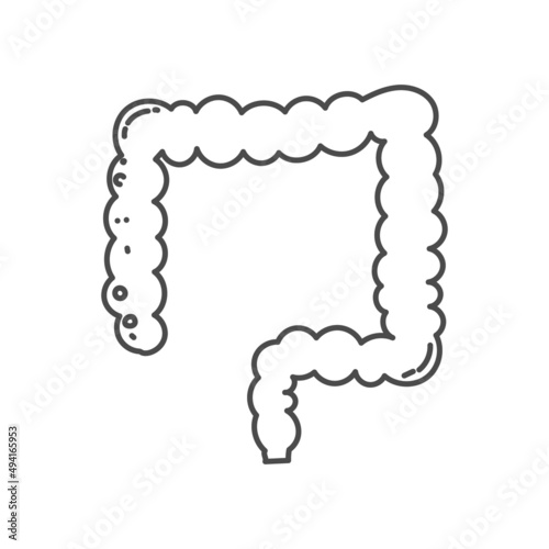 hand drawn illustration of human large intestine organ for educational purposes in schools or for children's coloring books