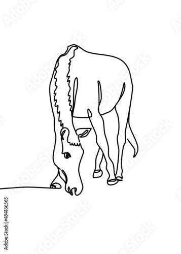 Continuous line drawing, horse
