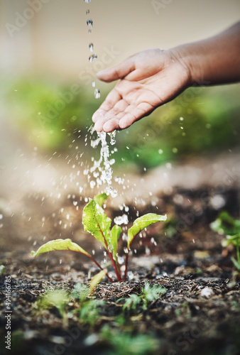 Itll grow with care. Closeup shot of an unrecognizable person watering a plant outdoors.