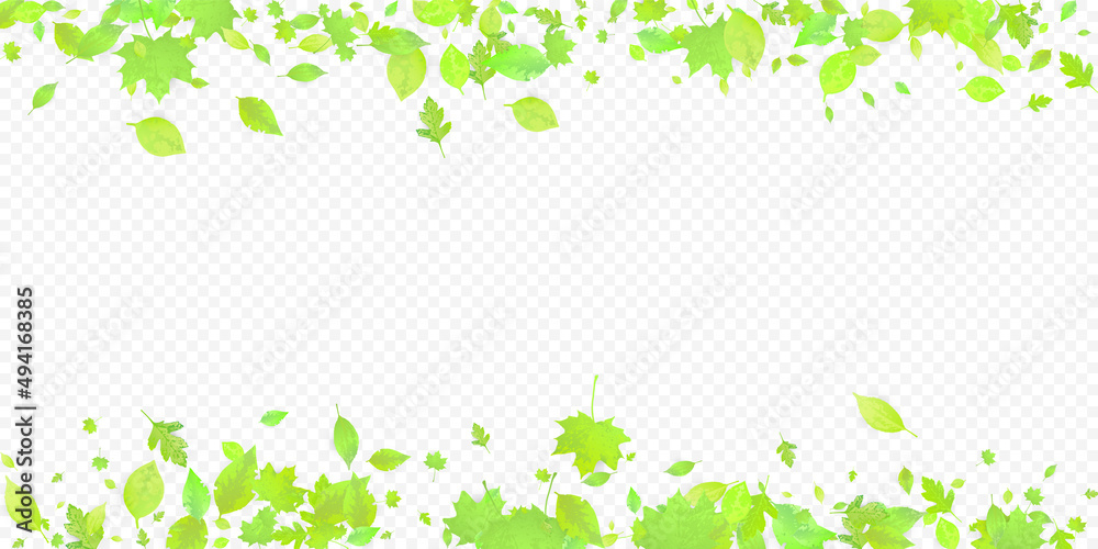 Leaves Falling Spring Flying Foliage Green Leaf Leaves Falling Spring Flying Foliage Green Leaf