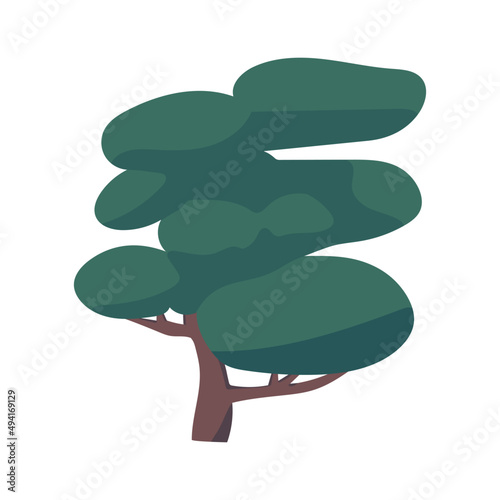 Decorative tree. Niwaki tree for Japanese garden decor.  Isolated on white background.