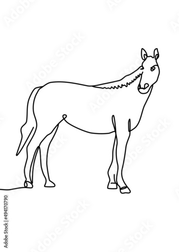 Continuous line drawing, horse