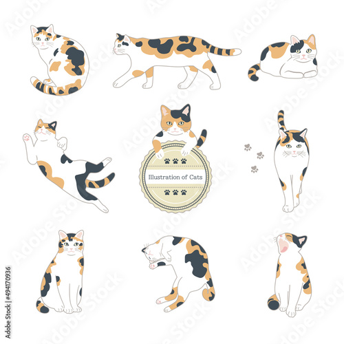 三毛猫のイラストセット