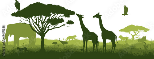 Vector horizontal seamless tropical african savannah with giraffe, caracal, vulture, eagle, lion, elephant, leopard, crane and warthog