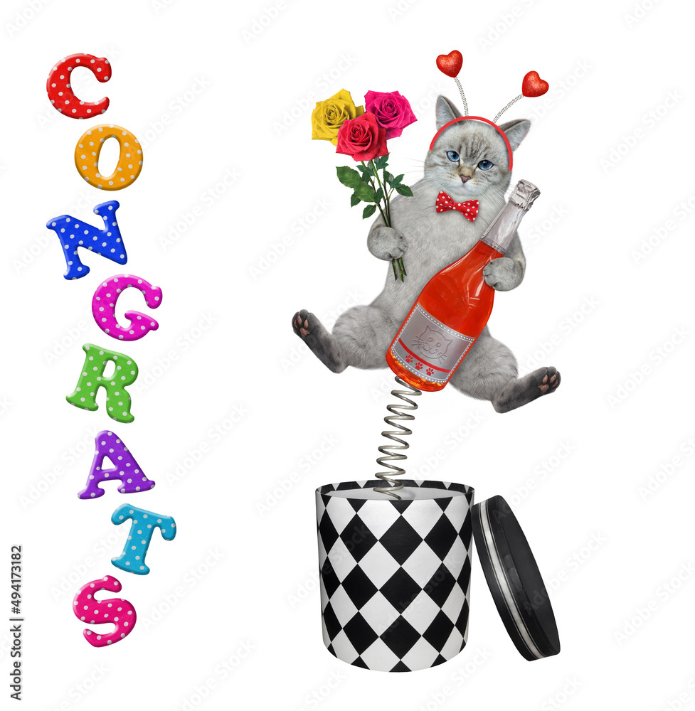 An ashen cat with red wine and bouquet of roses is jumping out of a round gift box. Congrats. White background. Isolated.