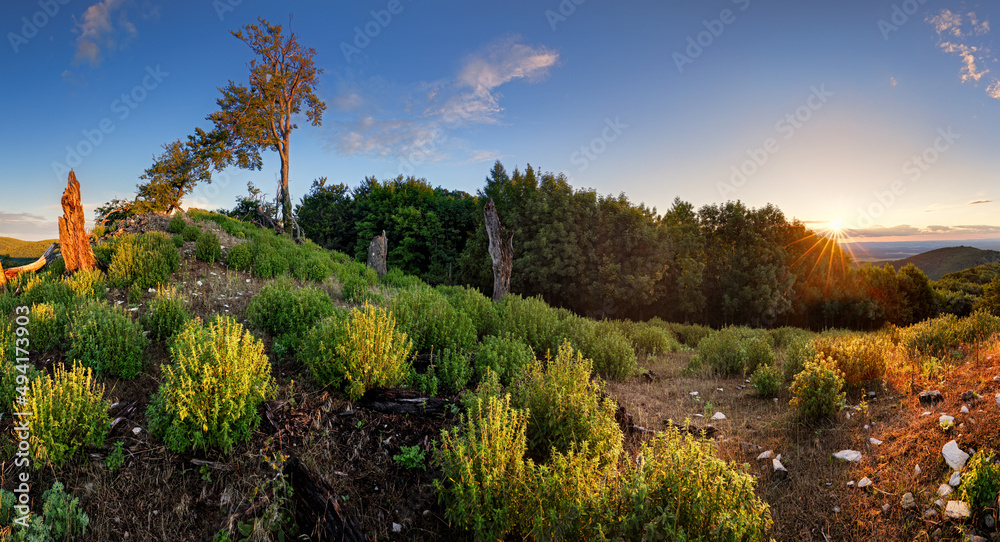 Green mountain landscape with sun - panorama, Slovakia Green mountain landscape with sun - panorama, Slovakia