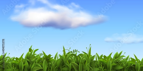 Realistic nature landscape with fresh grass and blue sky with clouds. Spring green farm or football field, meadow or lawn grass vector scene
