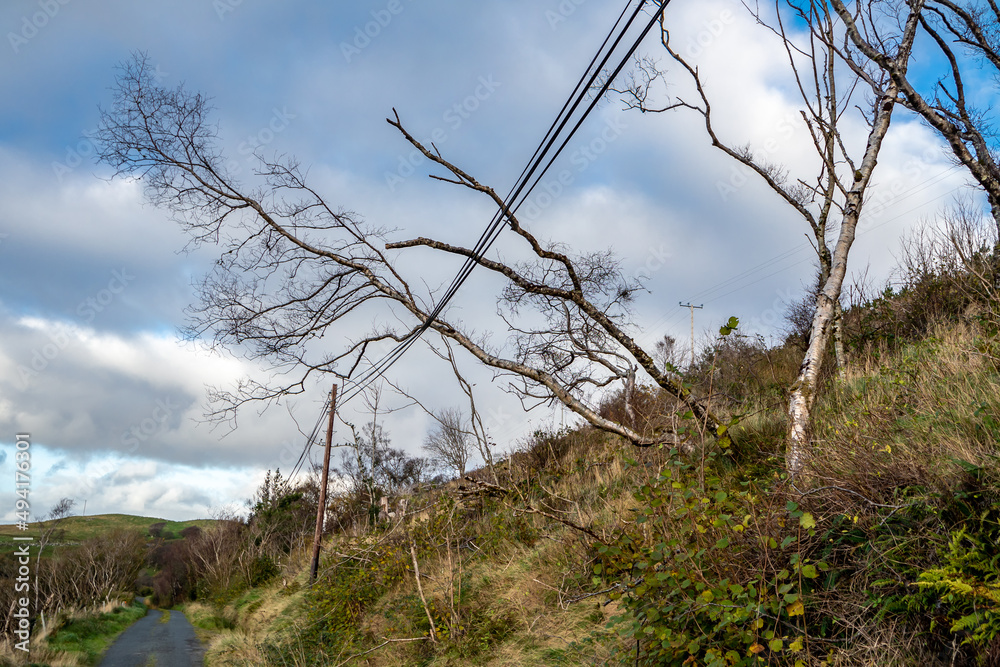 Tree fallen on power and communication line after the storm Stock Photo ...