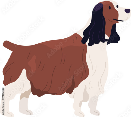 English Springer Spaniel Dog Breed Illustration
