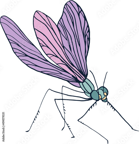 Dragonfly Insect Colored Hand Drawn Vintage Illustration