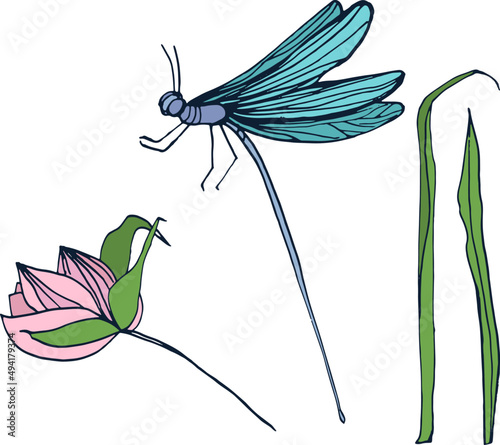 Dragonfly with Flower and Grass Hand Drawn Illustration