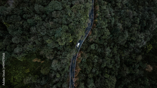 Top down aerial drone view of a mountain curve asphalt road in the woods. Vehicles heading forward between green pine trees. Car trip to remote locations, Beaty of nature in Sichuan, China