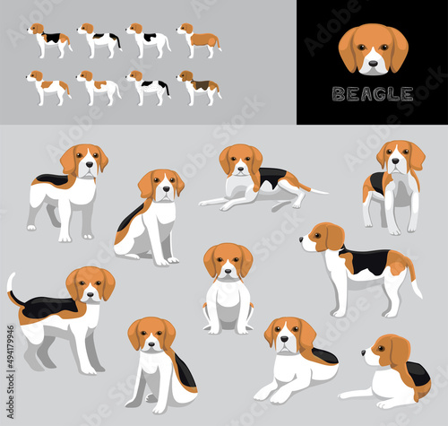 Dog Beagle Cartoon Vector Illustration Color Variation Set