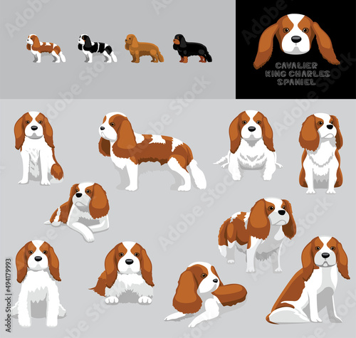 Dog Cavalier King Charles Spaniel Cartoon Vector Illustration Color Variation Set